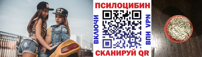 МЕГА ССЫЛКА  Карачаевск  Псилоцибиновые грибы прущие грибы 